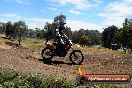Champions Ride Days MotoX Broadford 01 12 2013 - 6CR_6201