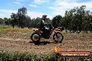Champions Ride Days MotoX Broadford 01 12 2013 - 6CR_6202