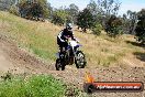 Champions Ride Days MotoX Broadford 01 12 2013 - 6CR_6205