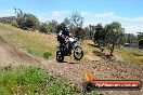 Champions Ride Days MotoX Broadford 01 12 2013 - 6CR_6206