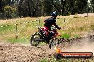 Champions Ride Days MotoX Broadford 01 12 2013 - 6CR_6223