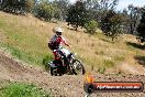 Champions Ride Days MotoX Broadford 01 12 2013 - 6CR_6225