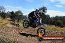 Champions Ride Days MotoX Broadford 01 12 2013 - 6CR_6239