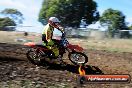 Champions Ride Days MotoX Broadford 08 12 2013 - 7CR_0585
