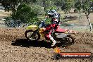 Champions Ride Days MotoX Broadford 08 12 2013 - 7CR_0722