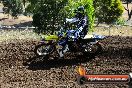Champions Ride Days MotoX Broadford 08 12 2013 - 7CR_0743