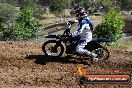 Champions Ride Days MotoX Broadford 08 12 2013 - 7CR_0772