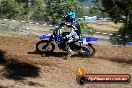 Champions Ride Days MotoX Broadford 08 12 2013 - 7CR_0821