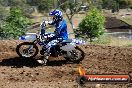 Champions Ride Days MotoX Broadford 08 12 2013 - 7CR_0828