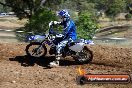 Champions Ride Days MotoX Broadford 08 12 2013 - 7CR_0830