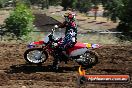Champions Ride Days MotoX Broadford 08 12 2013 - 7CR_0837