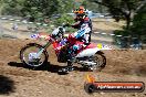 Champions Ride Days MotoX Broadford 08 12 2013 - 7CR_0841