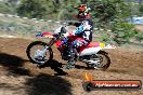 Champions Ride Days MotoX Broadford 08 12 2013 - 7CR_0842
