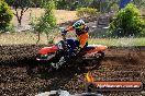 Champions Ride Days MotoX Broadford 08 12 2013 - 7CR_0894