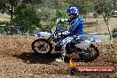 Champions Ride Days MotoX Broadford 08 12 2013 - 7CR_0932