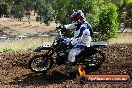 Champions Ride Days MotoX Broadford 08 12 2013 - 7CR_0952