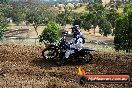 Champions Ride Days MotoX Broadford 08 12 2013 - 7CR_1009
