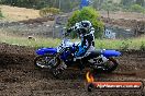 Champions Ride Days MotoX Broadford 08 12 2013 - 7CR_1086