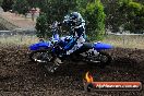 Champions Ride Days MotoX Broadford 08 12 2013 - 7CR_1132