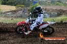 Champions Ride Days MotoX Broadford 08 12 2013 - 7CR_1141