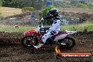 Champions Ride Days MotoX Broadford 08 12 2013 - 7CR_1141