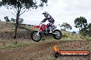 Champions Ride Days MotoX Broadford 08 12 2013 - 7CR_1263