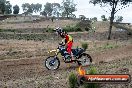 Champions Ride Days MotoX Broadford 08 12 2013 - 7CR_1294