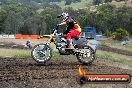 Champions Ride Days MotoX Broadford 08 12 2013