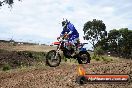 Champions Ride Days MotoX Broadford 08 12 2013 - 7CR_1366