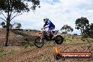 Champions Ride Days MotoX Broadford 08 12 2013 - 7CR_1367