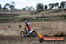 Champions Ride Days MotoX Broadford 08 12 2013 - 7CR_1389