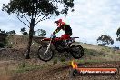 Champions Ride Days MotoX Broadford 08 12 2013 - 7CR_1434