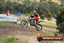 Champions Ride Days MotoX Broadford 08 12 2013 - 7CR_1446