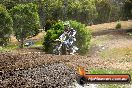 Champions Ride Days MotoX Broadford 08 12 2013 - 7CR_1526