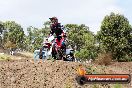 Champions Ride Days MotoX Broadford 08 12 2013 - 7CR_1545