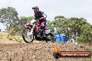 Champions Ride Days MotoX Broadford 08 12 2013 - 7CR_1546