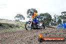 Champions Ride Days MotoX Broadford 08 12 2013 - 7CR_1577