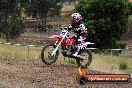 Champions Ride Days MotoX Broadford 08 12 2013 - 7CR_1855