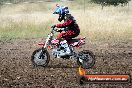 Champions Ride Days MotoX Broadford 08 12 2013 - 7CR_2051