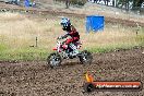 Champions Ride Days MotoX Broadford 08 12 2013 - 7CR_2074