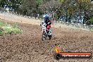 Champions Ride Days MotoX Broadford 08 12 2013 - 7CR_2079