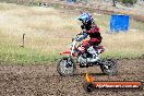 Champions Ride Days MotoX Broadford 08 12 2013 - 7CR_2082