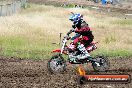 Champions Ride Days MotoX Broadford 08 12 2013 - 7CR_2083