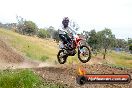 Champions Ride Days MotoX Broadford 08 12 2013 - 7CR_2084