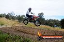 Champions Ride Days MotoX Broadford 08 12 2013 - 7CR_2130