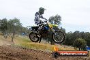 Champions Ride Days MotoX Broadford 08 12 2013 - 7CR_2341