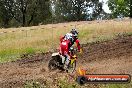 Champions Ride Days MotoX Broadford 08 12 2013 - 7CR_2397