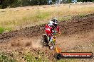 Champions Ride Days MotoX Broadford 08 12 2013 - 7CR_2398