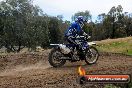 Champions Ride Days MotoX Broadford 08 12 2013 - 7CR_2509