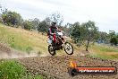 Champions Ride Days MotoX Broadford 08 12 2013 - 7CR_2566